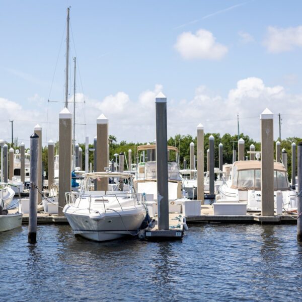Yacht örnek