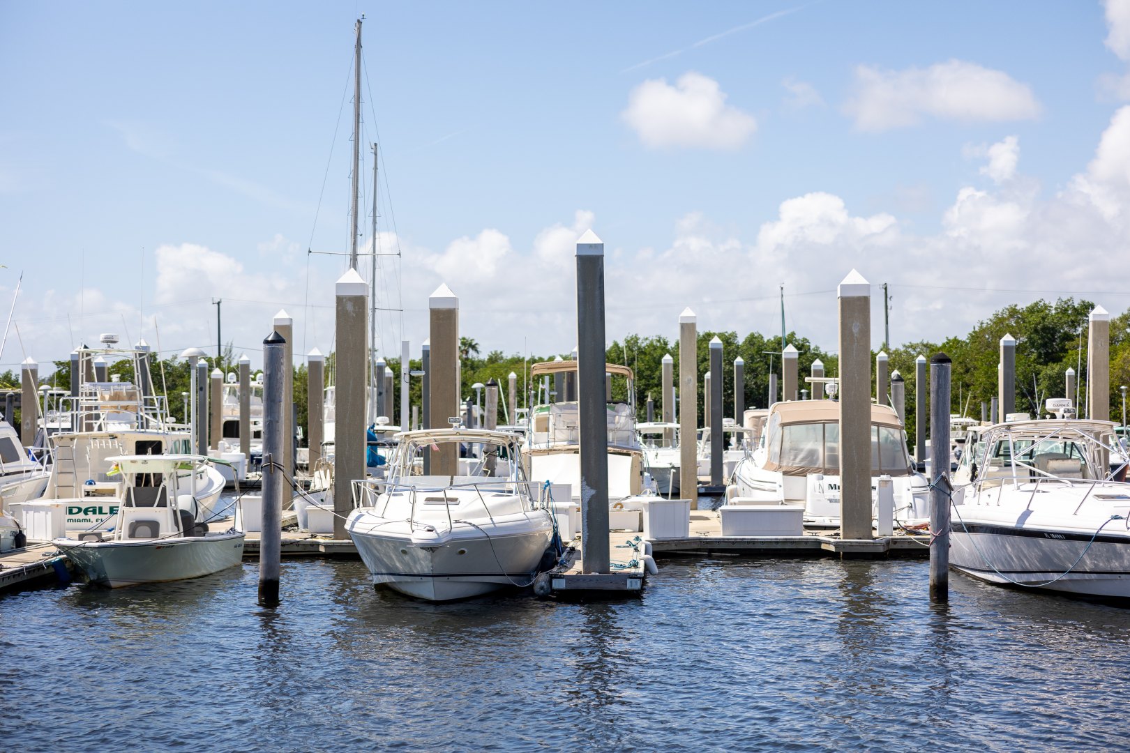 Yacht örnek